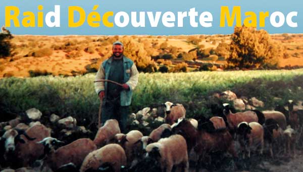 Raid Découverte Maroc - 8ème jour : ESSAOUIRA, l'ancienne Mogador et sa campagne environnante